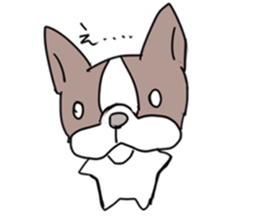 pooh dogs Sticker Bostonterrier sticker #12399528