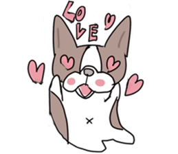 pooh dogs Sticker Bostonterrier sticker #12399536