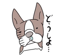 pooh dogs Sticker Bostonterrier sticker #12399541