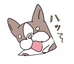 pooh dogs Sticker Bostonterrier sticker #12399546