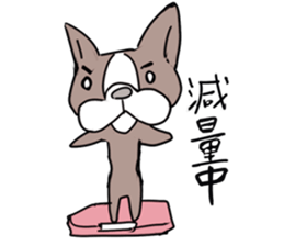 pooh dogs Sticker Bostonterrier sticker #12399549