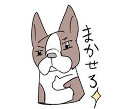 pooh dogs Sticker Bostonterrier sticker #12399550