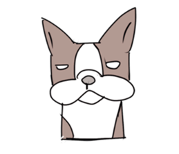 pooh dogs Sticker Bostonterrier sticker #12399555