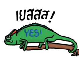 ERIC : The chameleon sticker #12399728