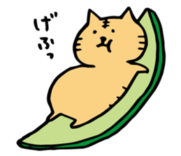 summer cat. summer enjoy sticker #12400960