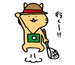 summer cat. summer enjoy sticker #12400963