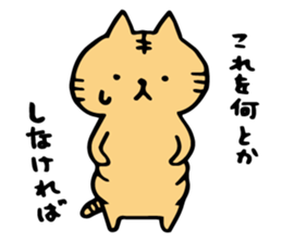 summer cat. summer enjoy sticker #12400964