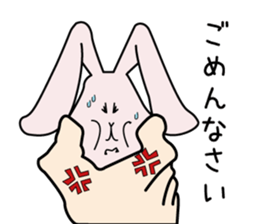 Lethargic rabbit and hot blood turtles sticker #12401273