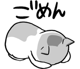 super cute cat midorichan! sticker #12404798