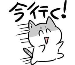 super cute cat midorichan! sticker #12404807