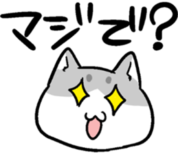 super cute cat midorichan! sticker #12404813