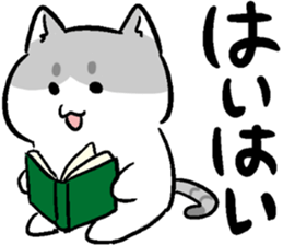 super cute cat midorichan! sticker #12404820