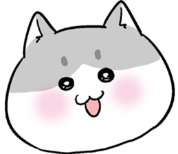 super cute cat midorichan! sticker #12404828