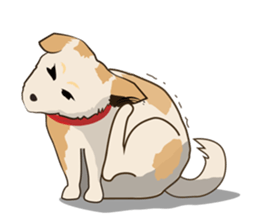 Samba & The Gang sticker #12406066