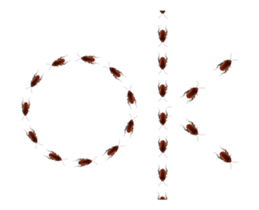 Peter is coming sticker #12407534