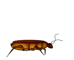 Peter is coming sticker #12407551