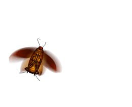 Peter is coming sticker #12407557