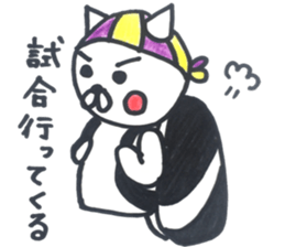 Squash CAT sticker #12409320