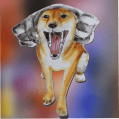 Shiba Inu Sisters - 1