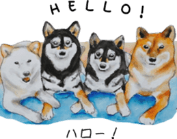 Shiba Inu Sisters - 1 sticker #12409718