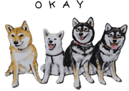 Shiba Inu Sisters - 1 sticker #12409720