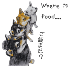 Shiba Inu Sisters - 1 sticker #12409722