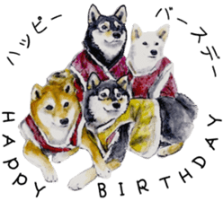 Shiba Inu Sisters - 1 sticker #12409723