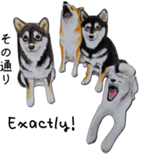 Shiba Inu Sisters - 1 sticker #12409725
