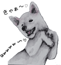 Shiba Inu Sisters - 1 sticker #12409726