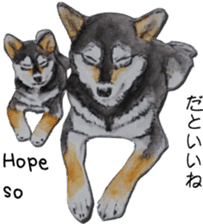 Shiba Inu Sisters - 1 sticker #12409728
