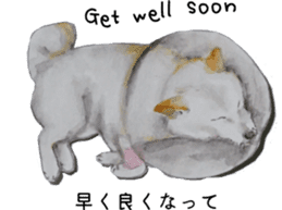 Shiba Inu Sisters - 1 sticker #12409729