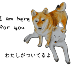 Shiba Inu Sisters - 1 sticker #12409731