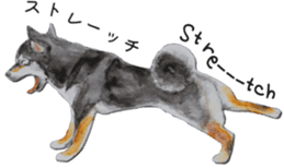 Shiba Inu Sisters - 1 sticker #12409732