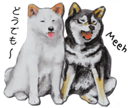 Shiba Inu Sisters - 1 sticker #12409733