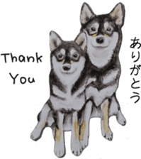 Shiba Inu Sisters - 1 sticker #12409734