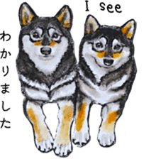 Shiba Inu Sisters - 1 sticker #12409735