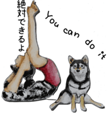 Shiba Inu Sisters - 1 sticker #12409737