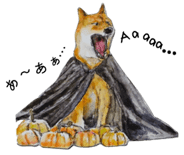 Shiba Inu Sisters - 1 sticker #12409742