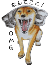 Shiba Inu Sisters - 1 sticker #12409743