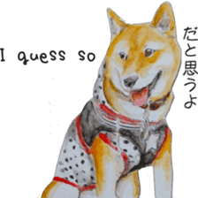 Shiba Inu Sisters - 1 sticker #12409744