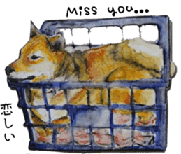 Shiba Inu Sisters - 1 sticker #12409745