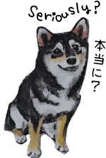Shiba Inu Sisters - 1 sticker #12409747
