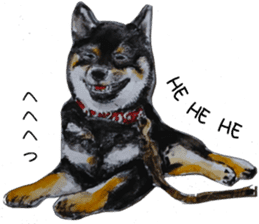 Shiba Inu Sisters - 1 sticker #12409748