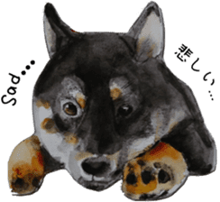 Shiba Inu Sisters - 1 sticker #12409750