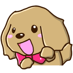 Greetings of miniature Dachshund