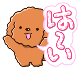 Polite Toy poodle sticker #12412102