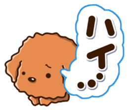 Polite Toy poodle sticker #12412105