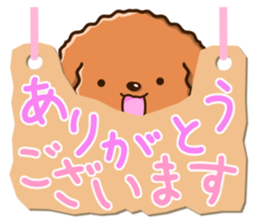 Polite Toy poodle sticker #12412110