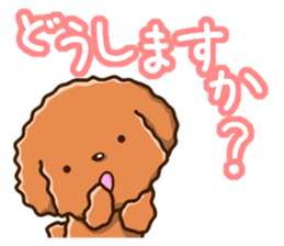 Polite Toy poodle sticker #12412112