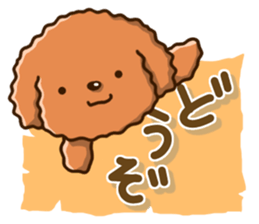 Polite Toy poodle sticker #12412119